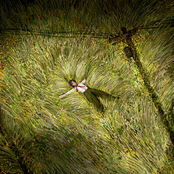 [Rav] EMERGENCE DELIRIUM