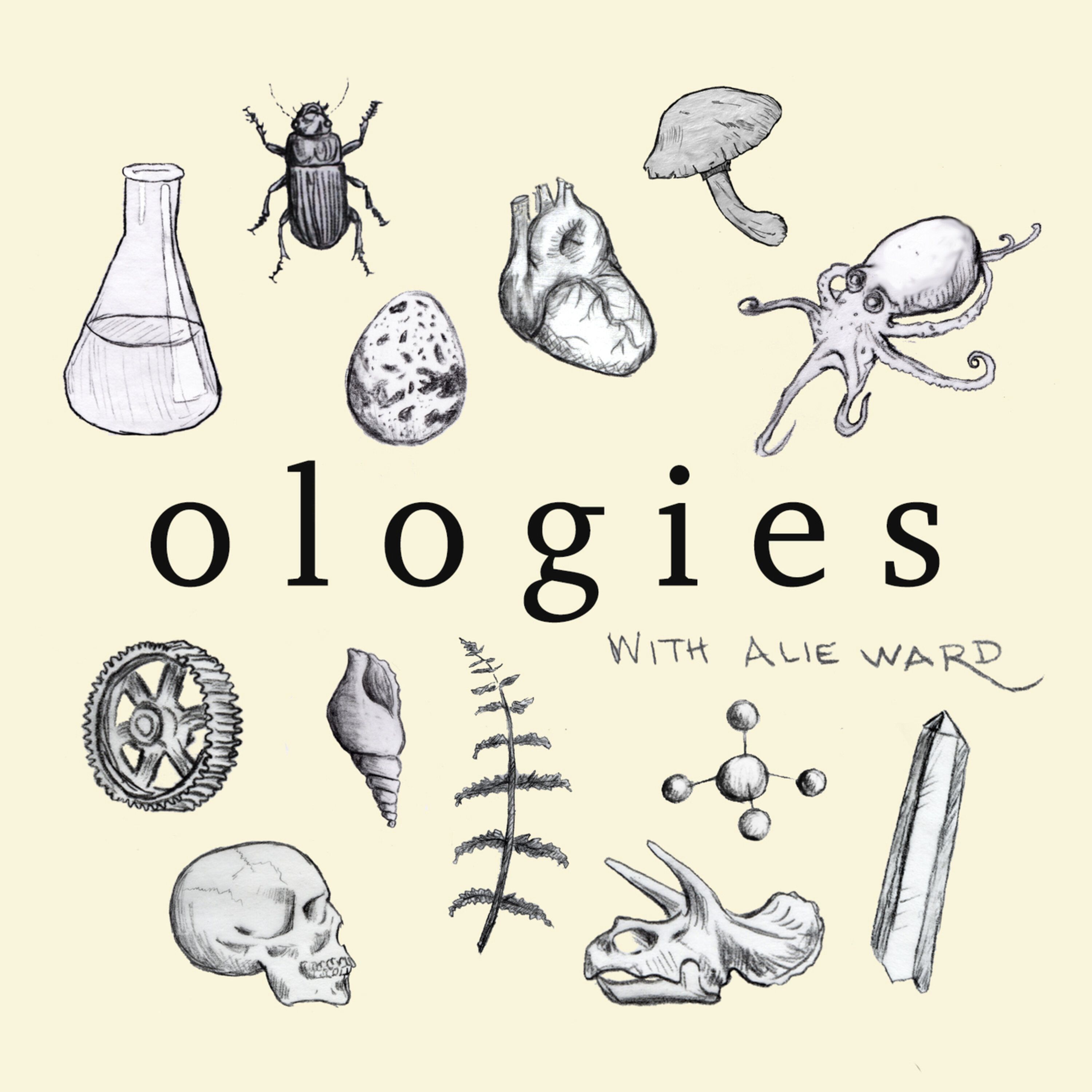 Salugenology (WHY HUMANS REQUIRE HOBBIES) Part 2 with Julia Hotz